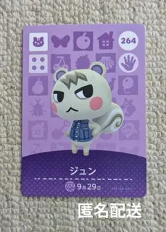 2025年最新】どうぶつの森 アミーボカード ジュンの人気アイテム