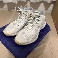 値段下げ可能　アシックス　バスケットシューズ ゲルフープ GELHOOP V14