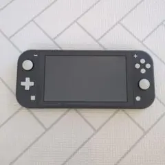 Nintendo Switch Lite グレー 本体
