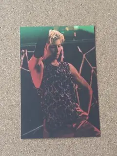 長谷川慎　ポストカード