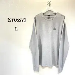 【STUSSY】ステューシー ロンT Tシャツ バックプリント メキシコ製 L