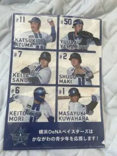 横浜DeNAベイスターズ クリアファイル