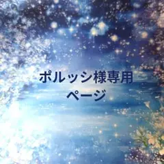 ポルッシ様 リクエスト 2点 まとめ商品