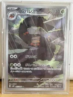 イワパレス AR ポケモンカード 130HP