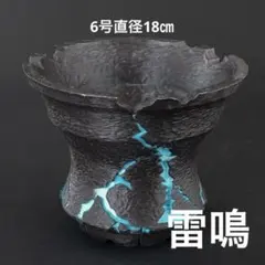 植木鉢 3Dプリンター鉢 亀甲紋 塊根多肉 アガベ 亀甲竜 160mm - メルカリ