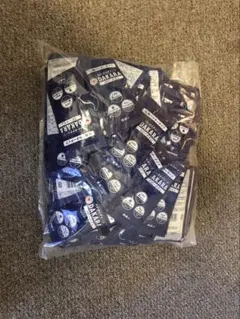 Item thumbnail for item 080b7d58-13e3-4e13-a092-f5c9b947e853