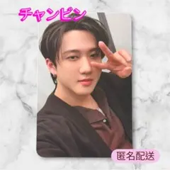 StrayKids スキズ STAY JAPAN 更新特典 トレカ チャンビン