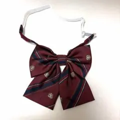 制服 リボン 赤