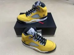 Item thumbnail for item 81f78bfd-cdca-4881-9bb1-3098ec0b342a