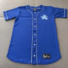 Item thumbnail for item 835d6a8a-3a99-4355-99fc-0aee5b0e2bcd