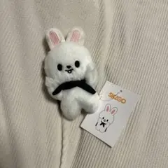 2026年最新】skzoo リービット マグネットキーリングの人気アイテム