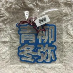 希少 プロセカ 青柳冬弥 立体ネームアクキー アクリルキーホルダー