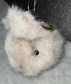 うさぎ ぬいぐるみ マスコット ファー