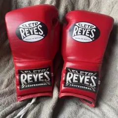 Item thumbnail for item 2794dd2b-f0d1-4164-83f1-b8fd7bcb3156