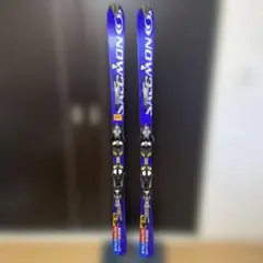 2026年最新】スキー板 salomonの人気アイテム - メルカリ