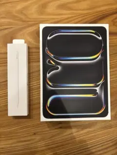 バッテリー100% M4 iPad Pro 11インチ256GBアップルケアー