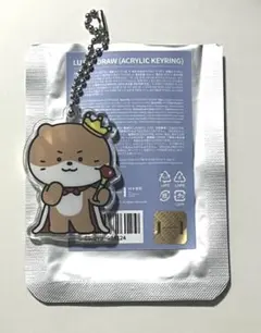 SEVENTEEN miniteen アクリルキーホルダー ディノ チャンダリ