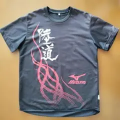 Item thumbnail for item cdcd36dd-735d-4c3b-9941-9f9427844aa2