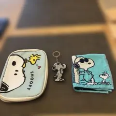 スヌーピー ポーチ☆キーホルダー☆ハンカチつき