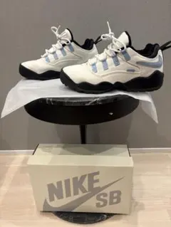 Supreme Nike SB Darwin Low 26.5cm
