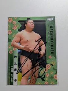 Item thumbnail for item 1ba3b63a-2db3-4db1-92a8-1b5175fa48bd