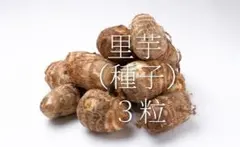 ooshimakenchiku様 リクエスト 3点 まとめ商品