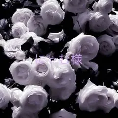 にゃむ様専用ページ