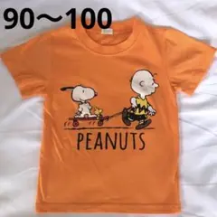 Item thumbnail for item 04633ca0-4e50-46c1-bdd4-63c4718bd3be