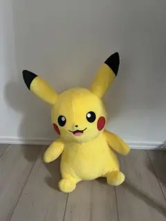 ピカチュウ、ライチュウ、ミミッキュ、カビゴン、マスターボール　まとめ売り