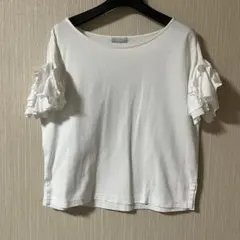 Item thumbnail for item aa375851-7b18-494f-8be6-9fa015a012dd