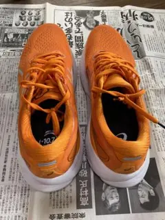 asics gel-kayano 30 (アシックス　ゲルカヤノ) 27.5