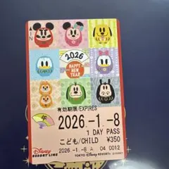 ディズニーリゾートライン フリーきっぷ お正月 リゾラ