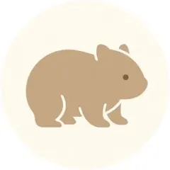 SRコ⭐︎様　専用出品