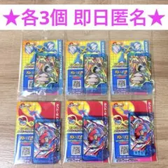 ポケモンフレンダ フレンダピック メタグロス ボーマンダ 全2種 各3個 セット