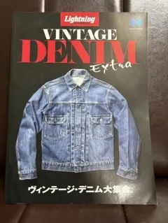 VINTAGE DENIM Extra