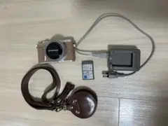 2026年最新】オリンパス pen e-pl9の人気アイテム - メルカリ