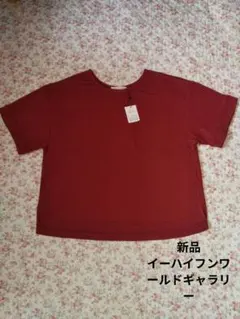 新品イーハイフンワールドギャラリー ロールアップ袖 ボックスTシャツのサムネイル