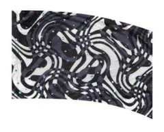 Item thumbnail for item 08dc5900-6fdb-4772-9e2a-43b92732d25a