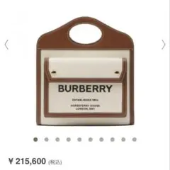 Burberry バーバリー ミニ ポケットバッグ