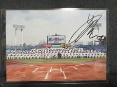 東京ヤクルトスワローズ　選手直筆サイン入り集合写真　田中陽翔　54