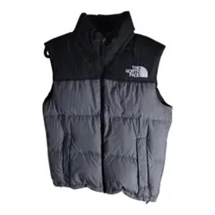 2026年最新】THE NORTH FACE カラー：グレイ系 メンズ ダウンベスト