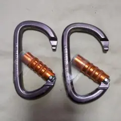 Item thumbnail for item d29454c5-d253-4b77-8cb1-74cbd535093b