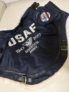 AVIREX 犬服　USAF 70周年記念 MA-1