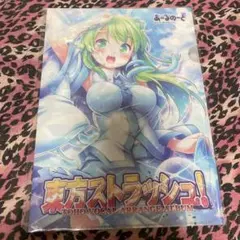 東方project 早苗　クリアファイル　I27