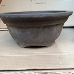 2026年最新】盆栽鉢 常滑の人気アイテム - メルカリ