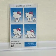 サンリオ 証明写真風 スマロイド チャーミーキティ