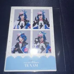 フラミュ タレントカード