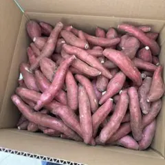 箱込み約5キロ 農薬不使用 シルクスイート「さつまいも」 ミニサイズ前後