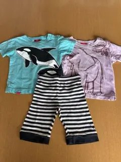 オジコ　Tシャツ・半ズボン３点セット　2A