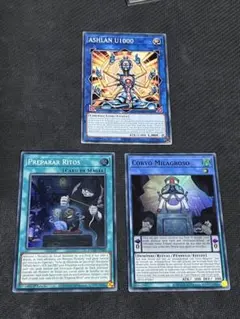遊戯王 箔押しイタリアプロモ LPP Collecting 遊戯王 箔押しイタリアプロモ LPP Collecting 【公式通販】